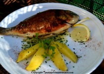 Dorade royale grillée à la poêle