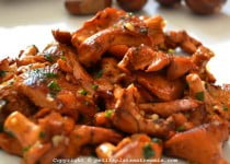 Fricassée de Girolles