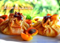 Abricots en aumônière