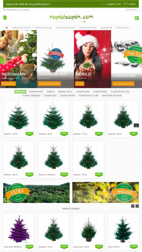 Commander et se faire livrer son sapin de Noël en quelques clics