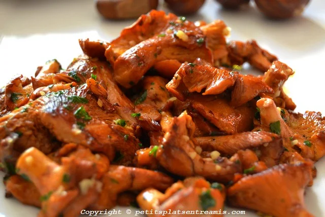 fricassée de girolles