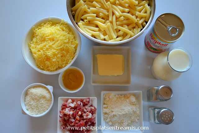 ingrédients pour gratin de macaronis au fromage