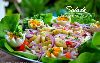 Salade De Pommes De Terre Petits Plats Entre Amis