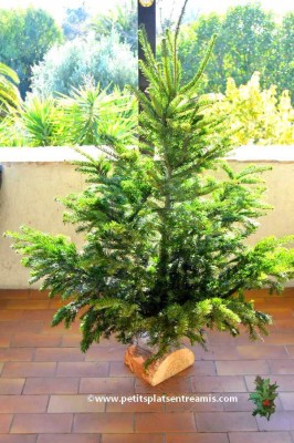 sapin déballé