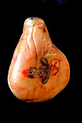 Jambon de Bayonne des Salaisons de l’Adour