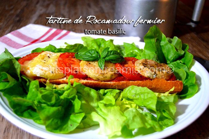 Tartine-de-Rocamadour-fermier-tomate-basilic