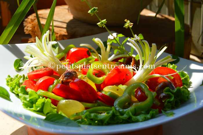 salade-de-tomates-et-poivrons-recette