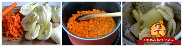 cuisson-fenouil-et-carottes-a-leau