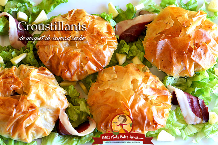 Croustillants De Magret De Canard Seche Petits Plats Entre Amis