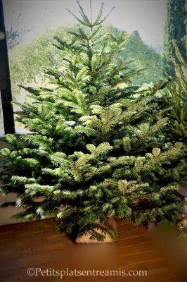 Sapin de noël rapidsapin
