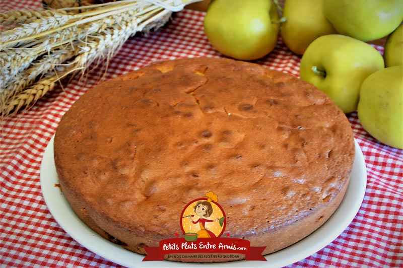 Gateau Moelleux Aux Pommes Petits Plats Entre Amis