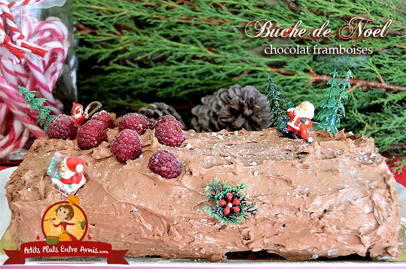 Bûche de Noël chocolat framboises