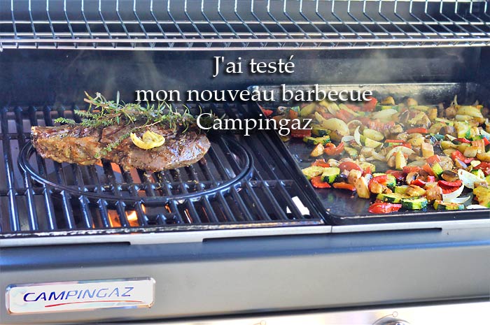 CAMPINGAZ Barbecue gaz Class 3 WLD sur